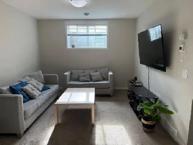 Spacious Basement- legal suite for Rent Image# 2