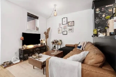 Appartement 3 1/2 à loué dans Hochelaga à partir du 1er octobre Image# 13