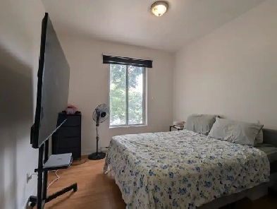 Perfect Location in Le Plateau - 3 1/2 (1 bed, 1 bath) Apartment Image# 6