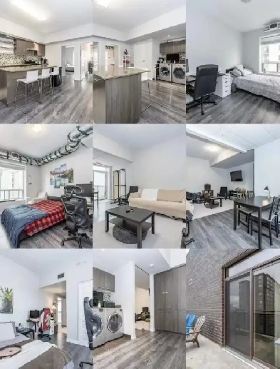 2 Bedrooms Near UW and Laurier Image# 1
