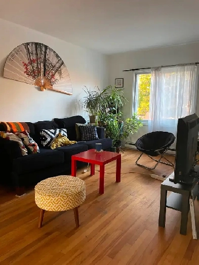 Bright sunny room 2 minutes from cote vertu metro 550$ Image# 1