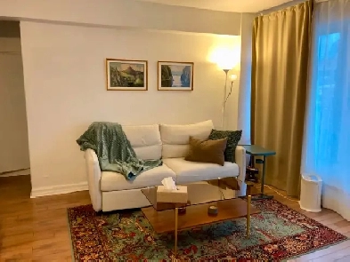 3 1/2 appartement - Milton Parc sous-location sublet Aug-Feb Image# 3