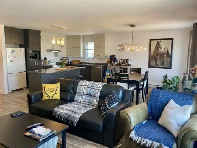 Appartement 4 1/2 à louer à Drummondville Image# 8