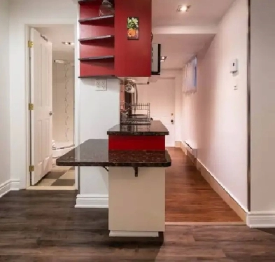 Two 3 1/2 under one mortgage 5 min walk from Snowdon Metro Image# 8
