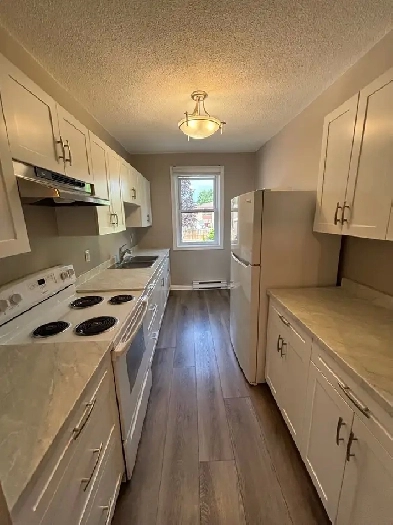 Apartment for Rent Image# 1