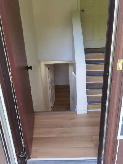 3 bedroom basement for rent Image# 1