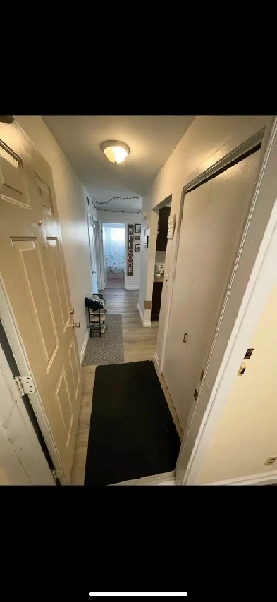 Beautiful 1 Bedroom Apartment Image# 3