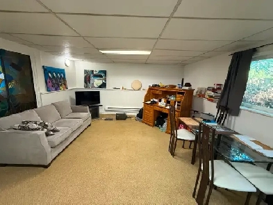Extra large one bedroon basement suit. Image# 4