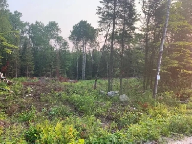 2 Acre  Lot for sale Image# 1