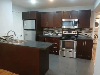 2-bedroom legal basement suite Image# 3