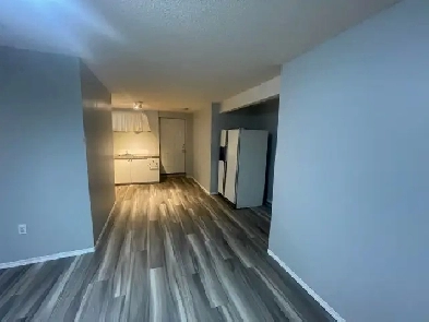 Saddleridge Basement for rent Image# 1