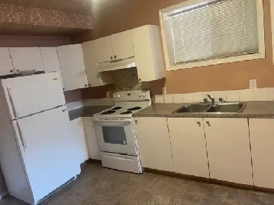 2 bedroom basement for rent in taradale Ne Image# 1