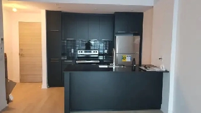 1 Bed 1 Bath Condo (3 1/2) for rent - Downtown/Griffintown Image# 1