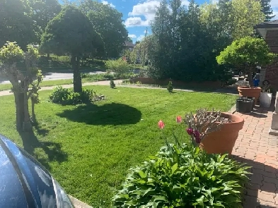 Basement Room for rent Image# 1