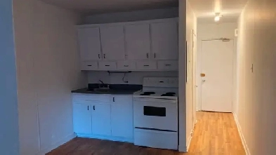 Studio de 1-1/2 sur le Plateau Image# 1