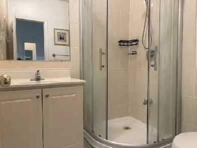 Master Bedroom With Private Washroom At Spadina/Dundas Image# 1