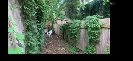 NOUVEAU petit3 1/2 MiniMaisonToutInclusCourCalmeSécure5minMétro Image# 1