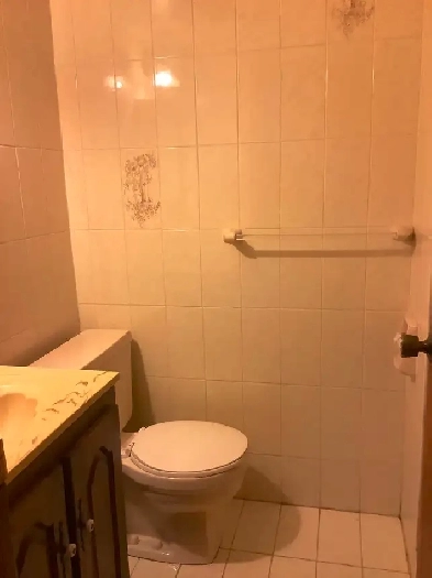 1 Bed basement apartment 4 rent in North York utilities included Image# 1