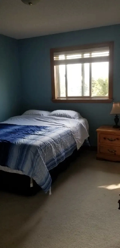 Furnished Rooms (2) in Tuscany – Ideal for Student or Employed.. Image# 1