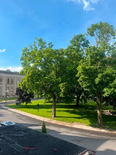 1 Bedroom Apartment Overlooking Courthouse $1,600, Available Now Image# 2