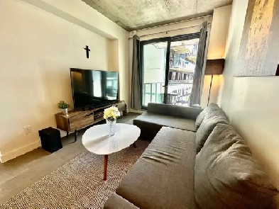 1 Bedroom Apartment in Montreal Image# 6