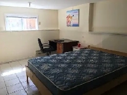 Furnished 2 bedroom 1 bathroom suite, avalilable Sept. 1 Image# 4