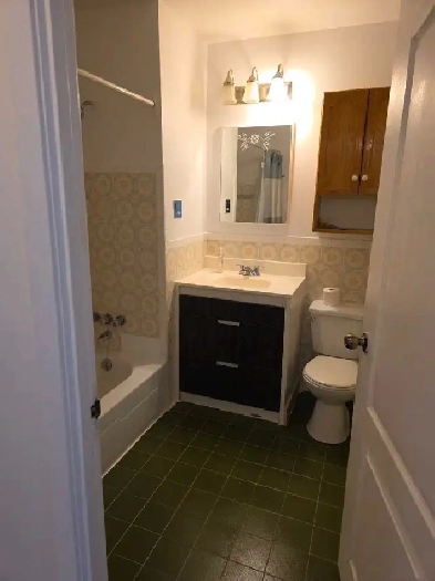 Logement à louer Image# 5