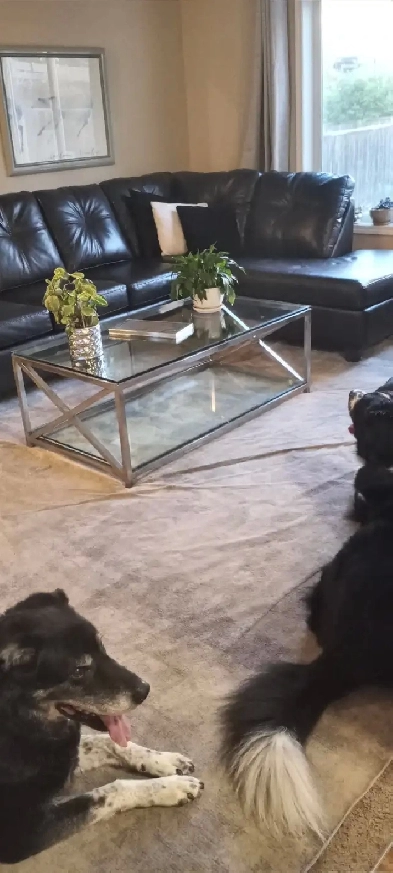 NO D/D Move in ready 1 room in shared Kincora NW Home Image# 1