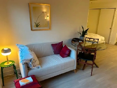 Impeccable Studio meublé Vieux-Montréal Image# 10