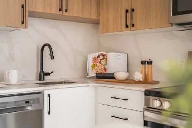 173 Cooper: Apartment for rent in Ottawa Image# 1