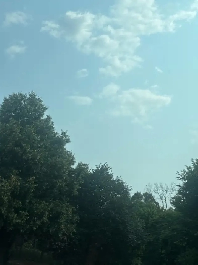 Seeking 1-Bedroom Apartment with Parking in North Yourk Image# 1