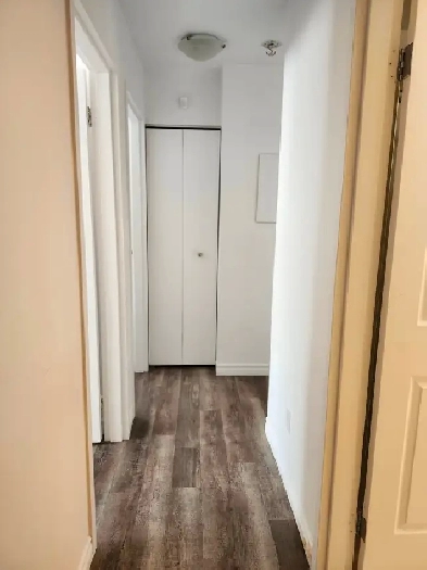 Nice renovated 4 1/2 QUIET NEIGHBORHOOD Image# 1