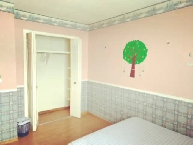 EdgemontNW upstairs master ensuite private bathroom incl utility Image# 12