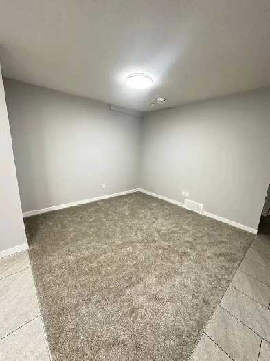 Basement Image# 9