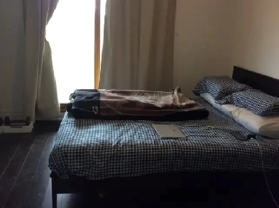 Room for rent near finch/ pharmacy Image# 2