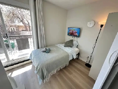 Affordable Furnished Spacious Room in Calgary Image# 1