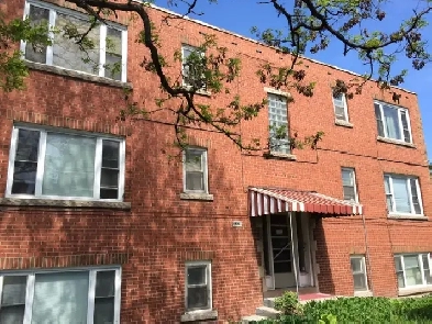 1-Bedroom Apartment, Hamilton East, $1450  hyd. Available Now Image# 2