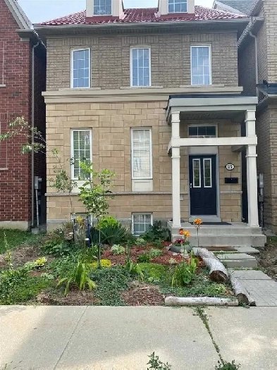 York University two large rooms for rent Image# 8
