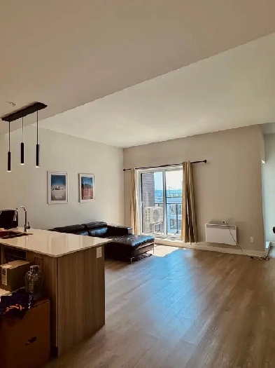 Modern Penthouse Apartment - Mont Royal Image# 7