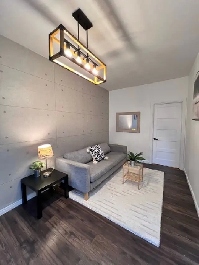 Fully Furnished Apartment for Rent in Rosemont- La Petite-Patrie Image# 6