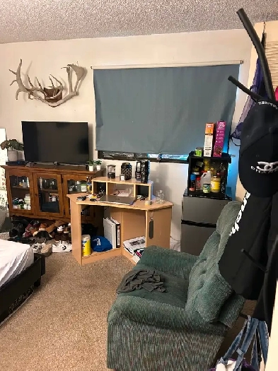Room for rent Image# 3