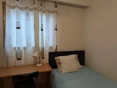 Cozy & Cute Room on Ground Floor in Scarborough(Pharmacy/Steels) Image# 3