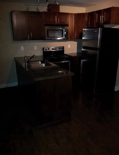 spacious 2 bedroom 1 washroom basement suite Image# 1