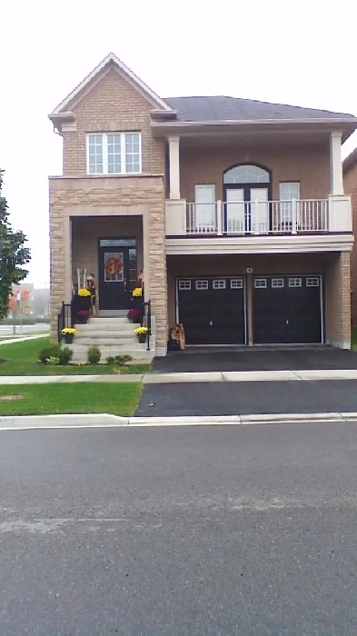 Student  Room Rental For Females (Preferred due to shared space) Image# 1