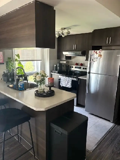 4 1/2 apartment for rent Image# 3