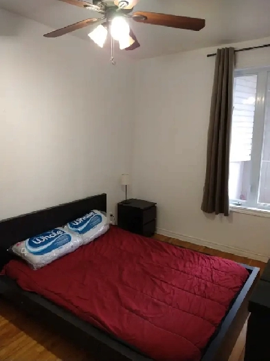 Petite Italie, 4-5 min du Metro, UdM, MILA, Element AI, tout inc Image# 1