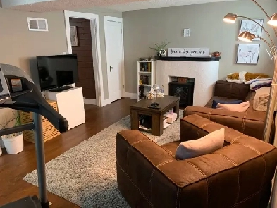 Bright 1 Bed, 1 Bath Basement Suite in the Heart of the City Image# 4