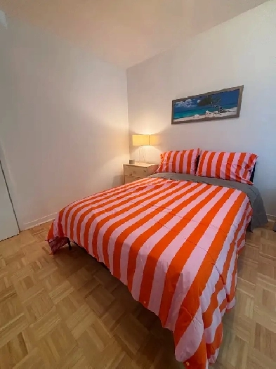 Chambre à Louer dans un 5 1/2 sur De bordeaux Septembre à mai Image# 1