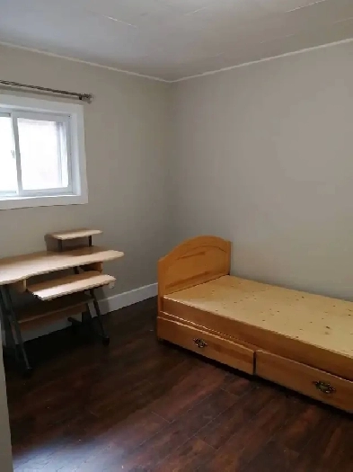 Romms in licensed student house near Mc for student rent only Image# 5