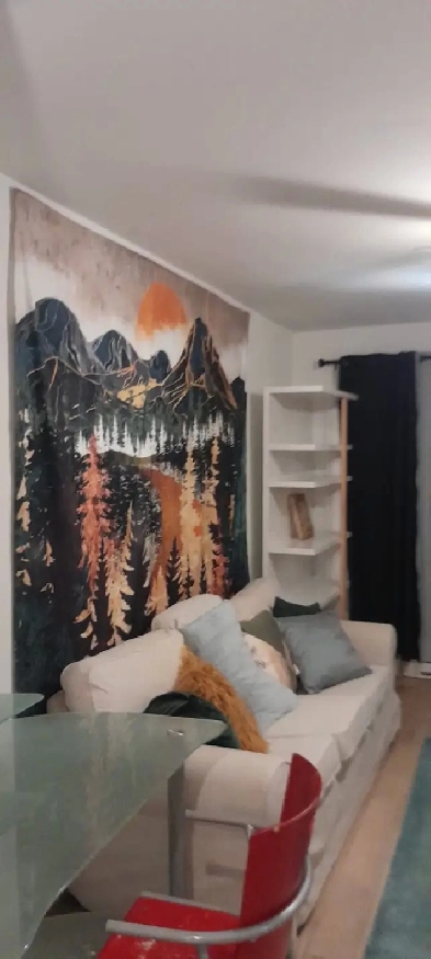 3 1/2 meublé en colocation Image# 1